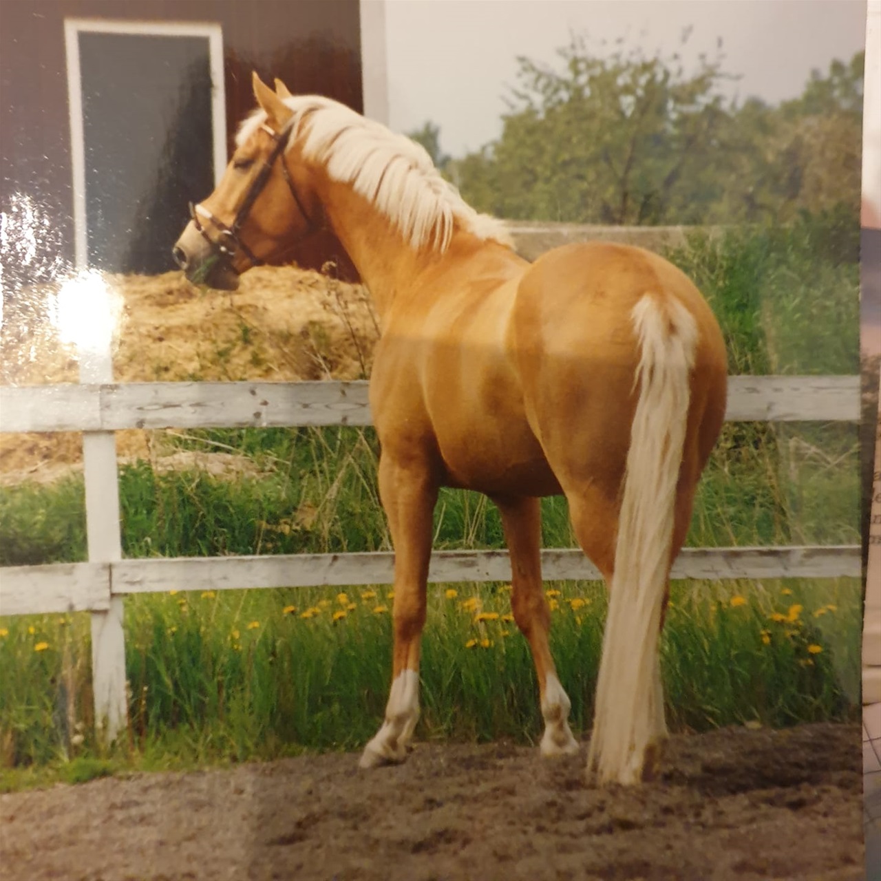 Antares I
Foto Mia Borg