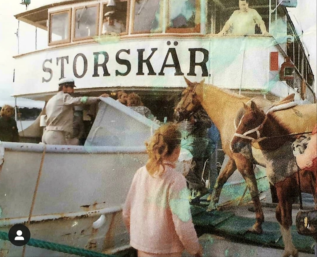 Jeanette Elm Wahlstam:
En rolig bild på Dukat e.Prokaznik, när han och hans mamma Pia Bella e.Chick-Kantat åker ut till sommarbetet på Mjölkö med båten Storskär. Min släkting tog under många år med sig hästar ut till ön där dem har en sommarstuga